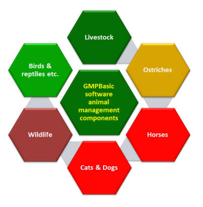 GMPBasicSoftwareStructureColour