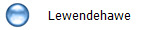 Lewendehawe